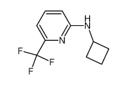 N-cyclobutyl-6-(trifluoromethyl)pyridin-2-amine 939809-66-2