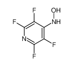 105608-95-5 N-(2,3,5,6-tetrafluoropyridin-4-yl)hydroxylamine