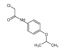 2-chloro-N-(4-propan-2-yloxyphenyl)acetamide 100129-54-2