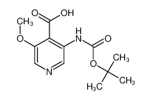 3-叔丁氧羰基氨基-5-甲氧基异烟酸