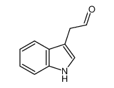 吲哚-3-乙醛