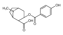 (1S,3S,4R,5R)-3-(4-hydroxybenzoyl)oxy-8-methyl-8-azabicyclo[3.2.1]octane-4-carboxylic acid 90899-22-2