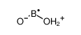 13840-88-5 structure, BH2O2