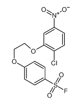 31185-43-0 4-[2-(2-chloro-5-nitrophenoxy)ethoxy]benzenesulfonyl fluoride