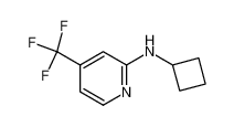 N-环丁基-4-(三氟甲基)-2-吡啶胺