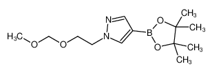 1013101-73-9 structure, C13H23BN2O4