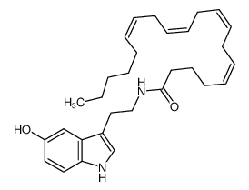 (5Z,8Z,11Z,14Z)-N-[2-(5-羟基-1H-吲哚-3-基)乙基]-5,8,11,14-二十碳四烯酰胺