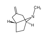 8-甲基-3-亚甲基-8-氮杂-双环[3.2.1]辛烷