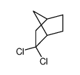 19916-65-5 2,2-二氯双环[2.2.1]庚烷