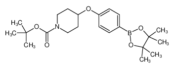 tert-butyl 4-[4-(4,4,5,5-tetramethyl-1,3,2-dioxaborolan-2-yl)phenoxy]piperidine-1-carboxylate