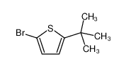 2-bromo-5-tert-butylthiophene 93425-02-6