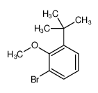 1-bromo-3-tert-butyl-2-methoxybenzene 1007375-07-6