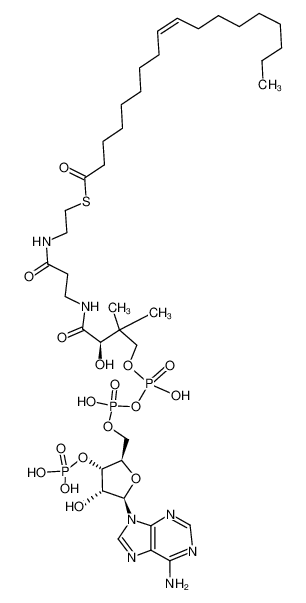 oleoyl-CoA 1716-06-9
