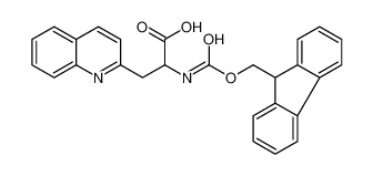 2-(9H-fluoren-9-ylmethoxycarbonylamino)-3-quinolin-2-ylpropanoic acid 401514-70-3