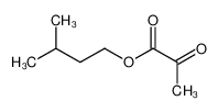 2-氧代-丙酸 3-甲基丁基酯