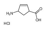 61865-62-1 spectrum, 4-aminocyclopent-2-ene-1-carboxylic acid,hydrochloride