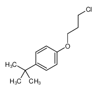 1-tert-butyl-4-(3-chloropropoxy)benzene 100620-48-2