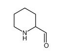 piperidine-2-carbaldehyde 144876-20-0