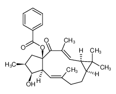 1303589-58-3 structure