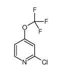 2-chloro-4-(trifluoromethoxy)pyridine