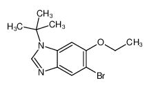 5-Bromo-1-(tert-butyl)-6-ethoxy-1H-benzo[d]imidazole 1314988-54-9