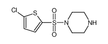 1-[(5-Chlorothien-2-yl)sulfonyl]piperazine 750607-94-4