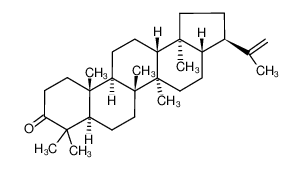 1812-63-1 structure, C30H48O