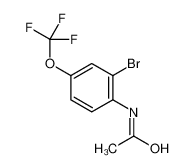 2-溴-4-三氟甲氧基乙酰苯胺