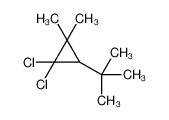 17171-92-5 structure, C9H16Cl2