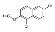 92455-04-4 structure