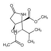 928209-75-0 methyl (2S,3S)-2-((S)-1-acetoxy-2-methylpropyl)-3-hydroxy-5-oxopyrrolidine-2-carboxylate