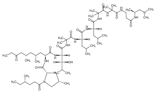 93667-70-0 structure, C62H113N11O13