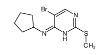 5-溴-N-环戊基-2-(甲基硫代)-4-嘧啶胺