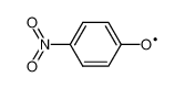 41071-23-2 structure