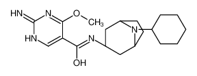 2-amino-N-[(1S,5R)-8-cyclohexyl-8-azabicyclo[3.2.1]octan-3-yl]-4-methoxypyrimidine-5-carboxamide