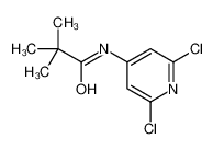 1345456-45-2 structure, C10H12Cl2N2O