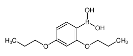 150145-25-8 structure, C12H19BO4