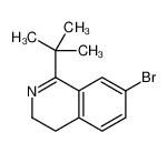 823236-16-4 7-bromo-1-tert-butyl-3,4-dihydroisoquinoline