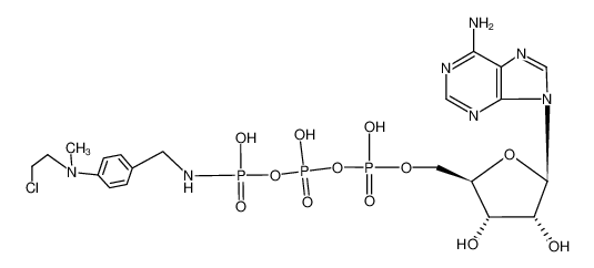 腺苷三磷酸酯-gamma-4-(n-2-氯乙基-n-甲基氨基)苄基酰胺