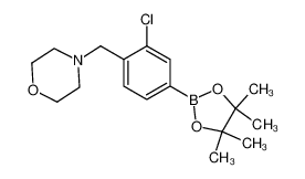 4-(2-chloro-4-(4,4,5,5- tetramethyl-1,3,2-dioxaborolan-2-yl)benzyl)morpholine 1092564-33-4