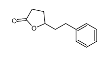 112606-95-8 5-(2-phenylethyl)oxolan-2-one