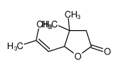 6737-14-0 4,4-dimethyl-5-(2-methylprop-1-enyl)oxolan-2-one