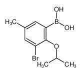 3-溴-2-异丙氧基-5-甲基苯基硼酸