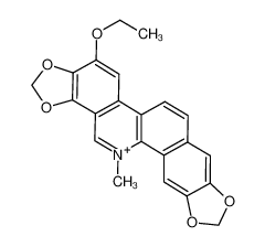 乙氧基血根碱