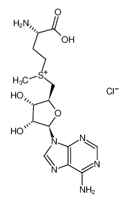 S-(5′-Adenosyl)-L-methionine chloride 24346-00-7