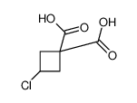 89639-43-0 3-chlorocyclobutane-1,1-dicarboxylic acid