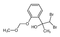 737767-22-5 1,1-dibromo-2-[2-(methoxymethoxy)phenyl]propan-2-ol