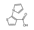 2-(1H-吡咯-1-基)噻吩-3-羧酸