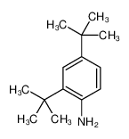2909-84-4 2,4-ditert-butylaniline
