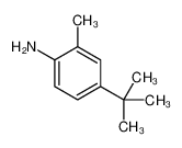 2909-82-2 4-叔-丁基邻甲苯胺